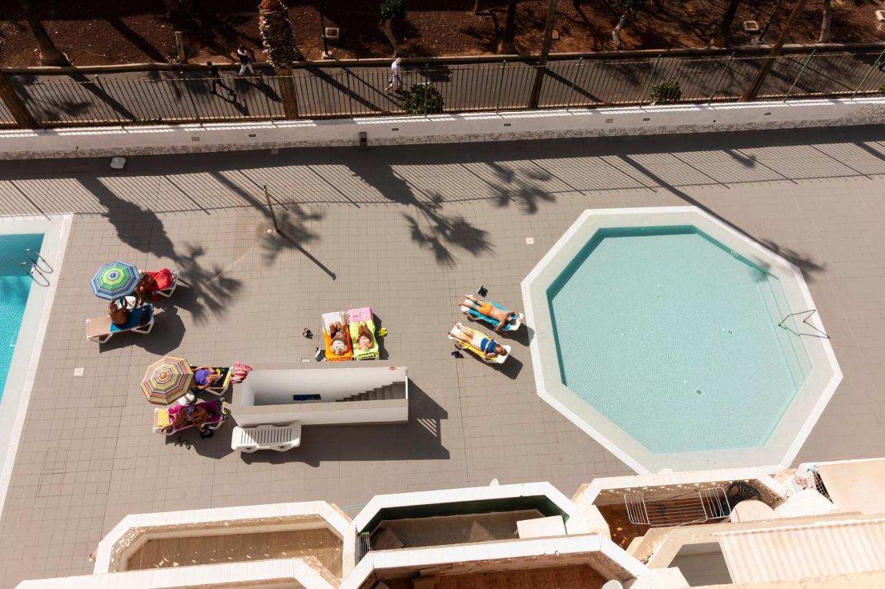 Homeforguest Modern And Recently Renovated Apartment In Arona アロナ エクステリア 写真